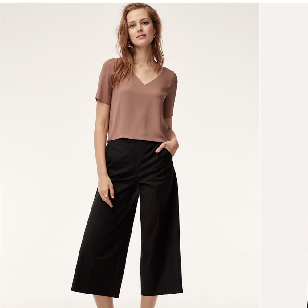Babaton pants